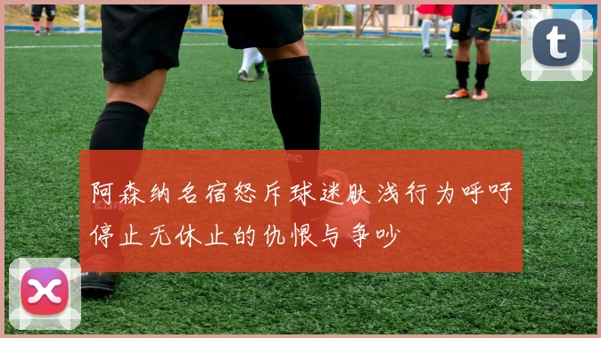 阿森纳名宿怒斥球迷肤浅行为呼吁停止无休止的仇恨与争吵